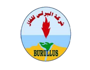 Burullus Gas Company logo